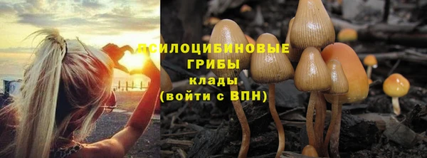 герыч Лиски