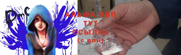 винт Липки