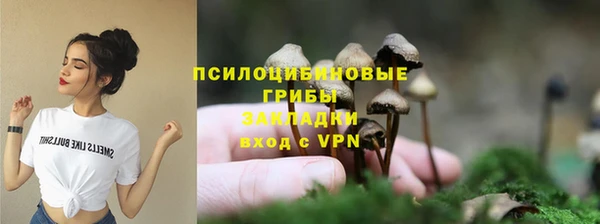 винт Липки