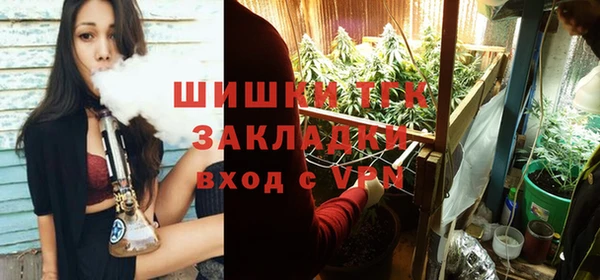 винт Липки