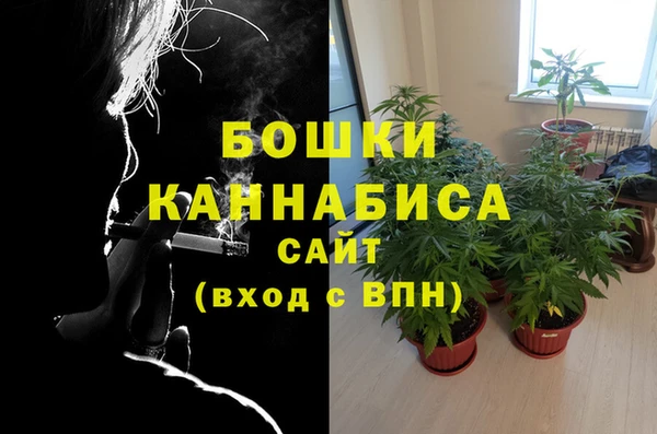 винт Липки