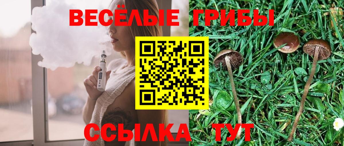 Галлюциногенные грибы мухоморы Белорецк