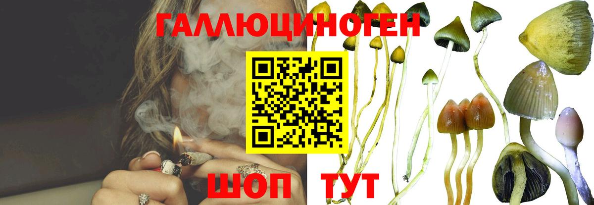 Галлюциногенные грибы MAGIC MUSHROOMS Белорецк